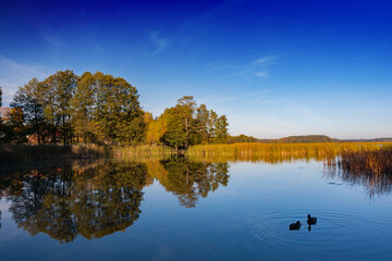 Autumn lake on a sunny day, water mirror