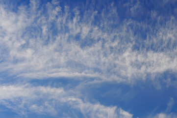 Calm blue sky and wispy clouds, ideal for serene settings.