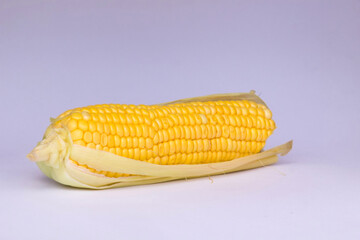 A Yellow Corn Cob