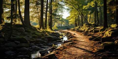 Trailblazing Tranquility - Paths Leading to Peaceful Moments Embark on trails that lead to moments of tranquil beauty. Capture the serenity found along nature's pathways,