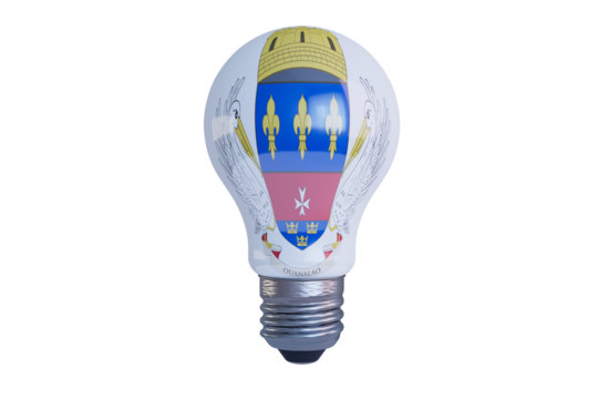 Illuminating Crest Design with Doves and Fleur-de-lis on Light Bulb