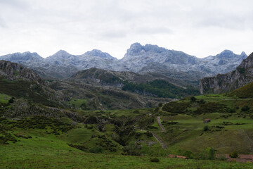 Fototapeta na wymiar Majestic landscape of a green meadow with the mountains of the Picos de Europa in the background. Lakes of Covadonga. Asturias - Spain