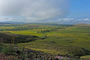 Fototapeta na wymiar Parque Nacional Canaima en todo su esplendor