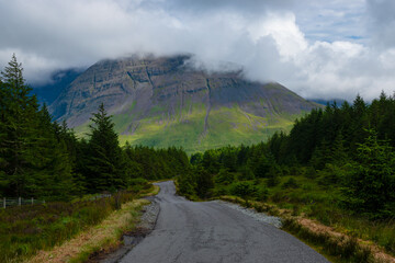 Winding asphalt road in the middle of lush spruce forest on the Isle of Skye