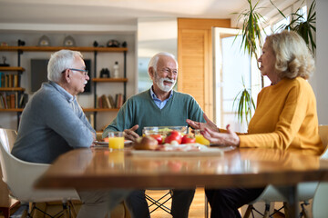Group of happy mature friends talking while having a meal at dining table.