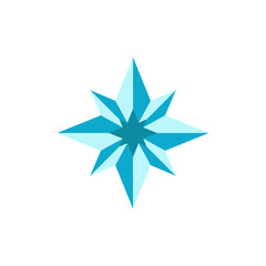 Obraz premium Geo Navigation Compass Vector Icon Illustration