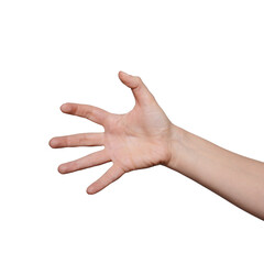 Spooky or creepy hand gesture isolated on transparent png background. Scary zombie halloween hands....