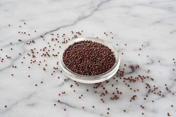 Close-up of brown mustard seeds