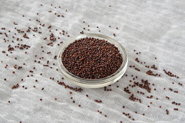 Close-up of brown mustard seeds