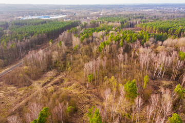 Rozległy obbszar leśny poktryty mieszanym lasem. Jest zima, liściaste drzewa pozbawione są liści. Między nimi widać zieleń drzew iglastych. Zdjęcie z drona. - 760092777