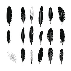 Silhouette of bird feather collection. Pen feather
