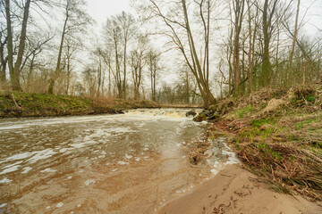 Mała, dzika, nieuregulowana rzeka bezśnieżną zimą. Woda ma ciemnobrązowy kolor. Wokół rośnie wysoki, bezlistny las. Koryto rzeki przecina mały spieniony wodospad. - 760093782