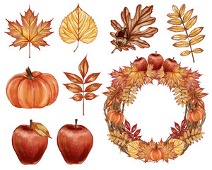 COLLECTION OF WATERCOLOR HAND DRAWN ELEMENTS OF AUTUMN SEASON , LEAF, PUMPKIN, APPLES, MAPLE LEAF, ACORN