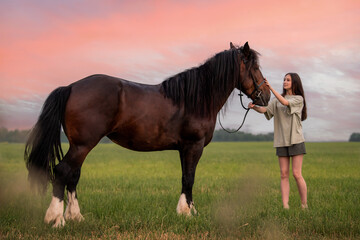 girl is standing next to a horse in a field. The sky is filled with a rainbow