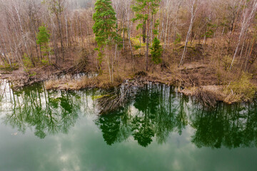 Położone wśród lasów jezioro, którego woda ma szmaragdowy kolor. Brzegi pokrywają żółte, suche trawy, bezlistne drzewa, między którymi widać zielone korony drzew iglastych.  - obrazy, fototapety, plakaty