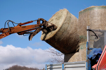 A mechanical rake and fork arm moves and unloads a bale of hay from a truck 