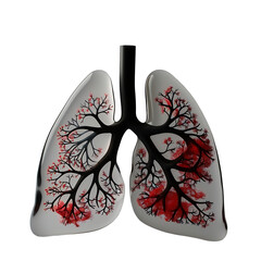 Human Organ (Human Lungs) - PNG Cutout Isolated in a Transparent Backdrop