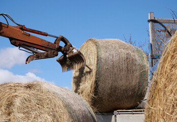 A mechanical rake and fork arm moves and unloads a bale of hay from a truck - 760103139