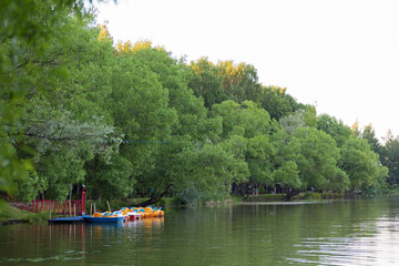 Obraz premium Multi-colored catamarans are parked to a wooden pier on a lake in a city park in summer
