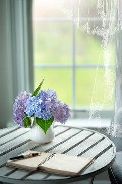 Hydrangea  in a vase
