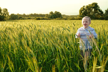 Naklejka na ściany i meble Young child having fun running in meadow with sunset. Happy kid playing outside in nature field