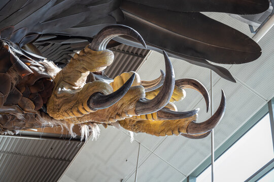 Close up image of the detailed artistry of Weta Studios on the talon of a Great Eagle from Lord of the Rings.