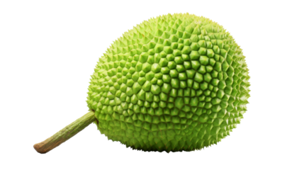 A vibrant green fruit stands out against a stark white background