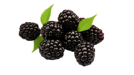 A vibrant cluster of blackberries with leaves, elegantly arranged on a clean white surface