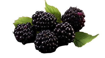 A vibrant collection of blackberries and leaves scattered across a pristine white background