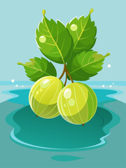Refreshing gooseberry fruit immersed in a clear water background, creating a vibrant and captivating scene.