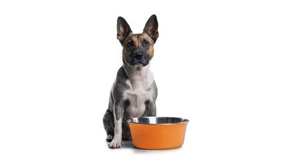 isolated dog with dog food. Generative AI.
