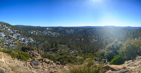 Landscape of Snowy Pine Forest in Sierra de San Pedro Martir, Baja California