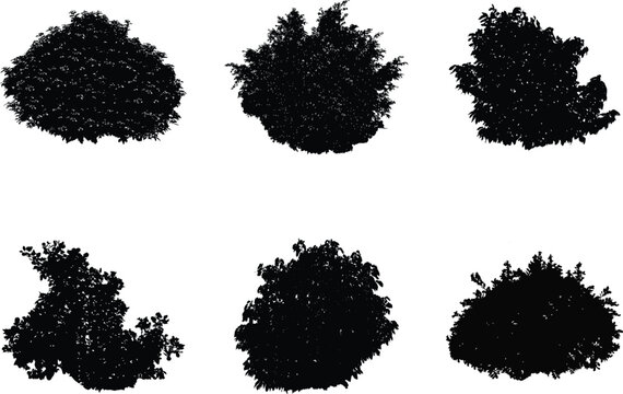 A vector collection of bush silhouettes for artwork compositions and backgrounds