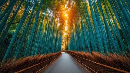 Zelfklevend Fotobehang Arashimaya bamboo forest of kyoto © elana