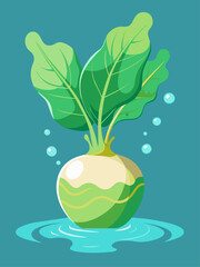 Vibrant kohlrabi vegetable submerged in water, creating a refreshing and colorful composition.