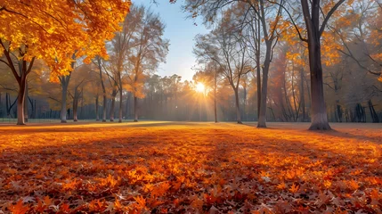 Schilderijen op glas Autumn, Golden autumn scene in a park, with falling leaves, the sun shining through the trees and blue sky. morning sunlight. Generative Ai © jordanke