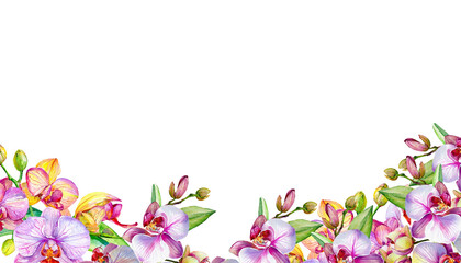purple orchid flower isolated on transparent background, PNG flowers decoration