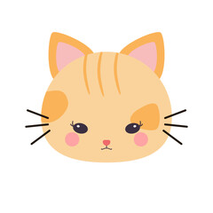 Orange Cute Cat Animal