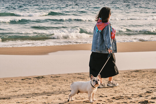 An outdoor photo of a woman walking along the sea beach on a sunny day during sunset, keeping her French bulldog on a leash. French bulldog on the beach. 