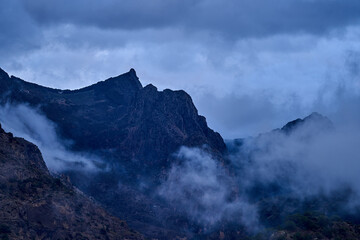 Spain Andalucia spring surrounding lonely tree mountains clouds tunnel