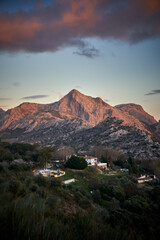 Fototapeta premium Spain Andalucia spring surrounding lonely tree mountains clouds tunnel