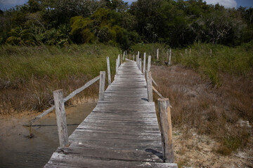 Puente de madera en la selva maya de Quintana Roo