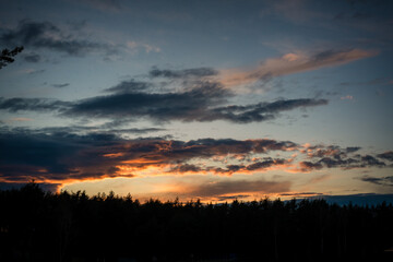 Obraz premium sunset in the mountains.A colourful sunset over the forest. Silhouettes of pine tops and the sky in the sunset glow. 