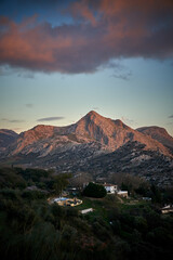 Fototapeta premium Spain Andalucia spring surrounding lonely tree mountains clouds tunnel