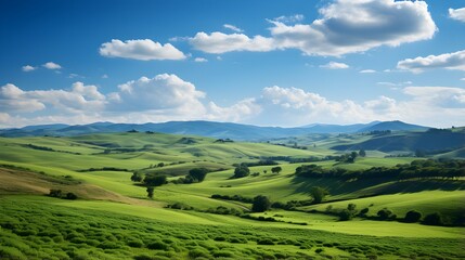 Fototapeta na wymiar Summer fields, hills landscape, green grass, blue sky with clouds, flat style cartoon painting illustration