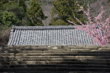 法輪寺　参道から望む本堂の屋根　京都市西京区嵐山