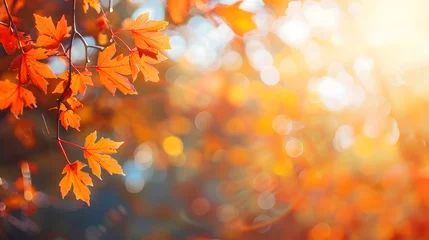 Foto op Canvas Beautiful autumn background, autumn forest wallpaper, cozy nature © Markus