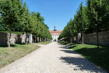 Allee zum Schloss Lichtenwalde in Niederwiesa  in Sachsen