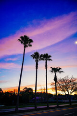 Obraz premium beautiful florida community sun rise