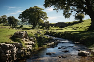 A flowing river in a lush green field with trees and rocks under a bright sky